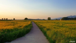 강나루생태공원 관광 정보와 주변 관광 명소 및 근처 맛집 여행 정보