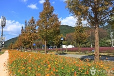 논공꽃단지 관광 정보와 주변 관광 명소 및 근처 맛집 여행 정보