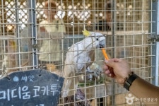 애니멀스토리 관광 정보와 주변 관광 명소 및 근처 맛집 여행 정보