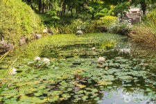 석종사(충주) 관광 정보와 주변 관광 명소 및 근처 맛집 여행 정보