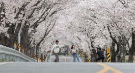 지리산오도재힐링캠핑장 - 주변 여행 및 근처 관광 명소 - 국내 여행 정보와 관광 명소 정보