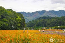 상림공원 관광 정보와 주변 관광 명소 및 근처 맛집 여행 정보