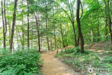 정발산공원 관광 정보와 주변 관광 명소 및 근처 맛집 여행 정보