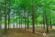 은여울공원 관광 정보와 주변 관광 명소 및 근처 맛집 여행 정보