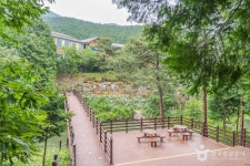 팔영산 편백 치유의 숲 관광 정보와 주변 관광 명소 및 근처 맛집 여행 정보