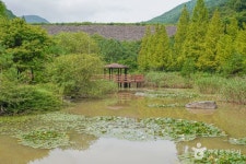 의령예술촌 문화 정보와 주변 관광 명소 및 근처 맛집 여행 정보