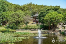 유교랜드 - 주변 여행 및 근처 관광 명소 - 국내 여행 정보와 관광 명소 정보