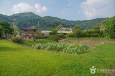 선비마을 관광 정보와 주변 관광 명소 및 근처 맛집 여행 정보