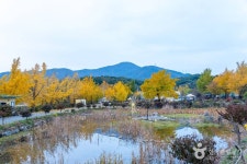 청양 다락골 줄무덤 성지 - 주변 여행 및 근처 관광 명소 - 국내 여행 정보와 관광 명소 정보