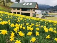 [지리산 둘레길 코스] 주천~운봉 - 주변 여행 및 근처 관광 명소 - 국내 여행 정보와 관광 명소 정보