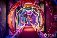 영동 와인터널 관광 정보와 주변 관광 명소 및 근처 맛집 여행 정보