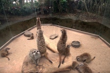 포레스트12 레저스포츠 정보와 주변 관광 명소 및 근처 맛집 여행 정보