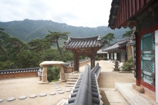 표충사호국박물관 - 주변 여행 및 근처 관광 명소 - 국내 여행 정보와 관광 명소 정보
