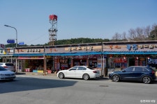 송이모텔 - 주변 여행 및 근처 관광 명소 - 국내 여행 정보와 관광 명소 정보