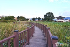 죽동제 관광 정보와 주변 관광 명소 및 근처 맛집 여행 정보