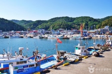 경정마을(차유어촌체험마을) 관광 정보와 주변 관광 명소 및 근처 맛집 여행 정보