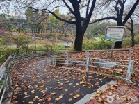 황새울공원 관광 정보와 주변 관광 명소 및 근처 맛집 여행 정보