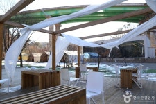 태양힐링숲 레저스포츠 정보와 주변 관광 명소 및 근처 맛집 여행 정보