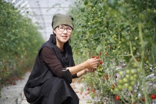 임실레드팜 관광 정보와 주변 관광 명소 및 근처 맛집 여행 정보