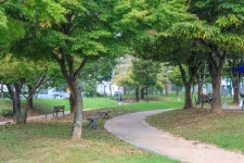 안성맞춤가족공원 관광 정보와 주변 관광 명소 및 근처 맛집 여행 정보