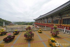 대광사(성남) 관광 정보와 주변 관광 명소 및 근처 맛집 여행 정보