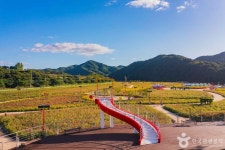 산소카페 청송정원 관광 정보와 주변 관광 명소 및 근처 맛집 여행 정보