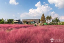 바람새마을 관광 정보와 주변 관광 명소 및 근처 맛집 여행 정보