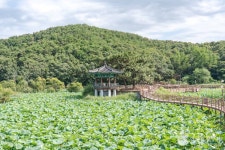 들성생태공원 관광 정보와 주변 관광 명소 및 근처 맛집 여행 정보