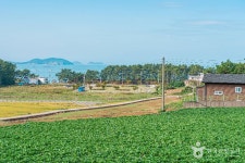 땅끝송호마을 - 주변 여행 및 근처 관광 명소 - 국내 여행 정보와 관광 명소 정보