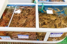 동광어시장 쇼핑 정보와 주변 관광 명소 및 근처 맛집 여행 정보