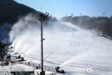 Jisan Forest Ski Resort (지산 포레스트 리조트 스키장) - Leisure - Korea travel and tourism information