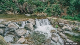 강씨봉자연휴양림 - 여행정보 |