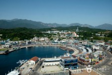 Daepohang Port (대포항) - Sightseeing - Korea travel and tourism information