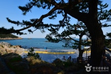 죽성항(황학대) | NOL 인터파크투어 프리야 여행정보 [대한민국>부산시 기장군] 여기 가고싶어요! [죽성항(황학대)] 죽성항은 부산의 다른 항구에... 