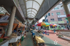 정선아리랑제 - 주변 여행 및 근처 관광 명소 - 국내 여행 정보와 관광 명소 정보