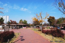 속초집 - 주변 여행 및 근처 관광 명소 - 국내 여행 정보와 관광 명소 정보