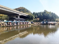 2025 이천펫축제 - 주변 여행 및 근처 관광 명소 - 국내 여행 정보와 관광 명소 정보