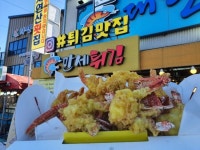 안면카트체험장 - 주변 여행 및 근처 관광 명소 - 국내 여행 정보와 관광 명소 정보