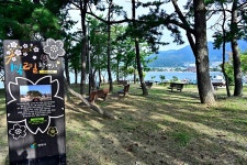 진해드림파크 - 주변 여행 및 근처 관광 명소 - 국내 여행 정보와 관광 명소 정보