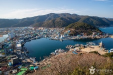 죽도산전망대 - 주변 여행 및 근처 관광 명소 - 국내 여행 정보와 관광 명소 정보