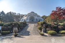 숲나들e - 여행정보 |