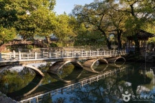 무진정(함안) 관광 정보와 주변 관광 명소 및 근처 맛집 여행 정보