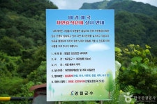 내리계곡 관광 정보와 주변 관광 명소 및 근처 맛집 여행 정보