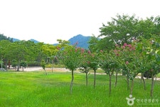 가마미해수욕장 - 주변 여행 및 근처 관광 명소 - 국내 여행 정보와 관광 명소 정보