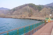 완주상관편백숲 - 주변 여행 및 근처 관광 명소 - 국내 여행 정보와 관광 명소 정보