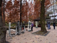 월영연못공원 관광 정보와 주변 관광 명소 및 근처 맛집 여행 정보