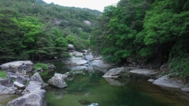 Foto aus Naver-Suchergebnissen 3