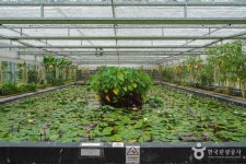 경상남도수목원 관광 정보와 주변 관광 명소 및 근처 맛집 여행 정보