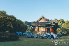 혼인지 관광 정보와 주변 관광 명소 및 근처 맛집 여행 정보