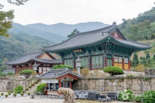 용흥사(담양) 관광 정보와 주변 관광 명소 및 근처 맛집 여행 정보